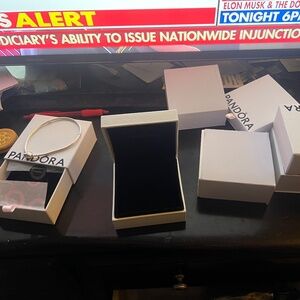 Pandora necklace brand new